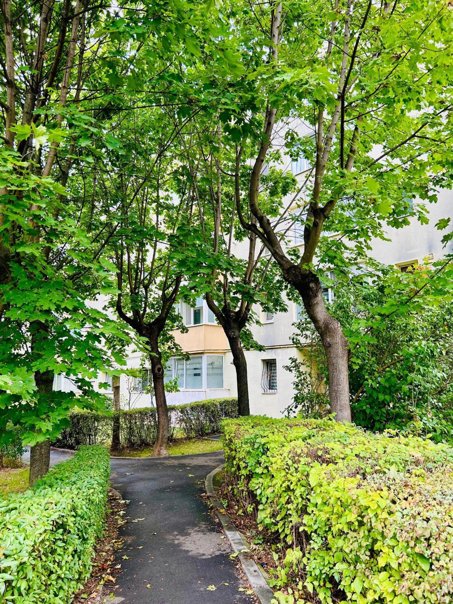 Chic Escape One - Free Parking * Braşov